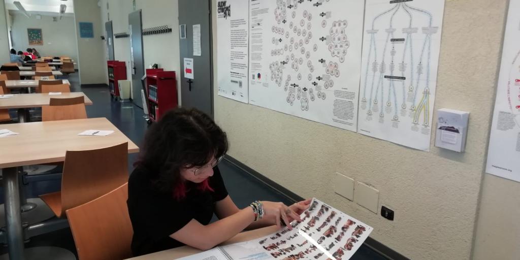 I libri interattivi sulle macchine di stereotipi